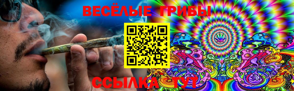 Галлюциногенные грибы прущие грибы Белебей