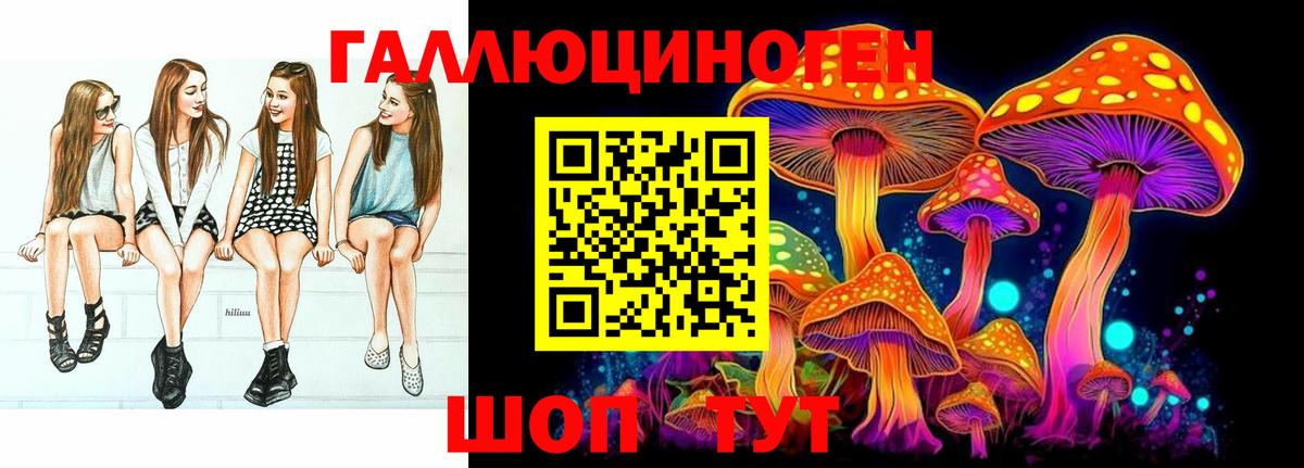 Псилоцибиновые грибы MAGIC MUSHROOMS  Вход с VPN  Белебей  Псилоцибиновые грибы Cubensis 